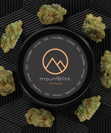 Mimosa 3.5G THC Flower