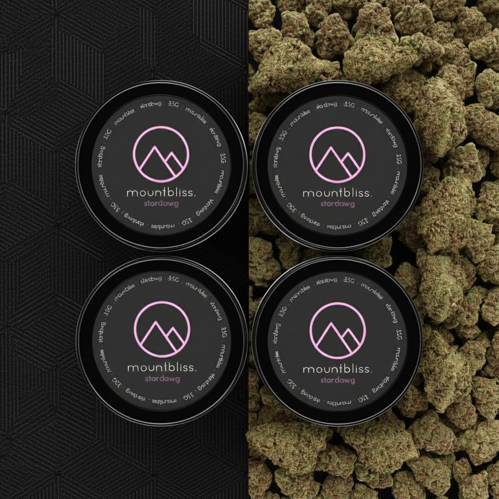 stardawg-2.jpg